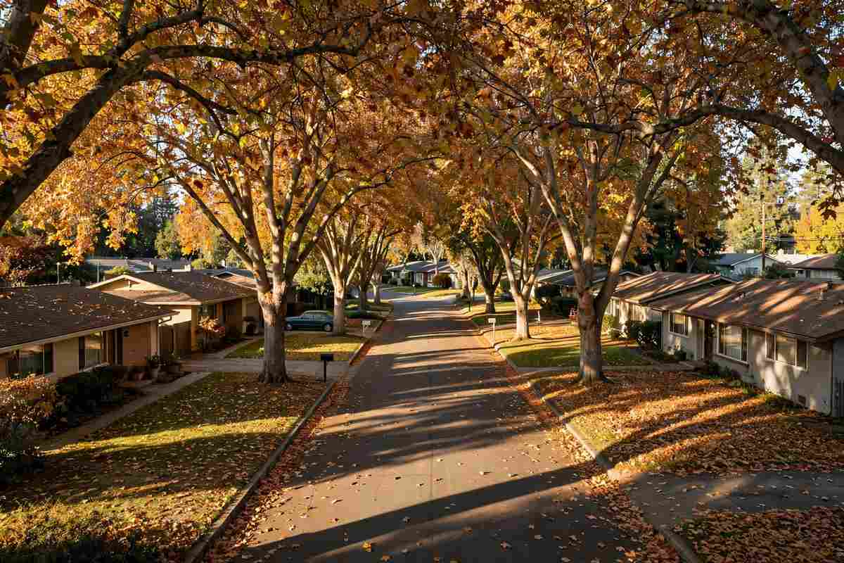 Downspout Installation in Westchester, CA — Questions about Downspout Installation in Westchester, California